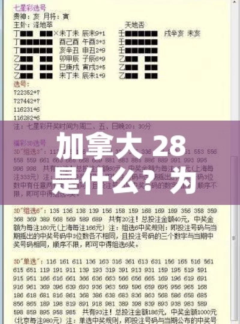 加拿大 28 是什么？为何引发众多关注？加拿大28，是机遇还是挑战？