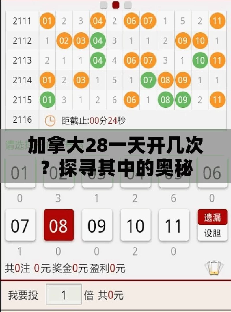 加拿大28一天开几次？探寻其中的奥秘