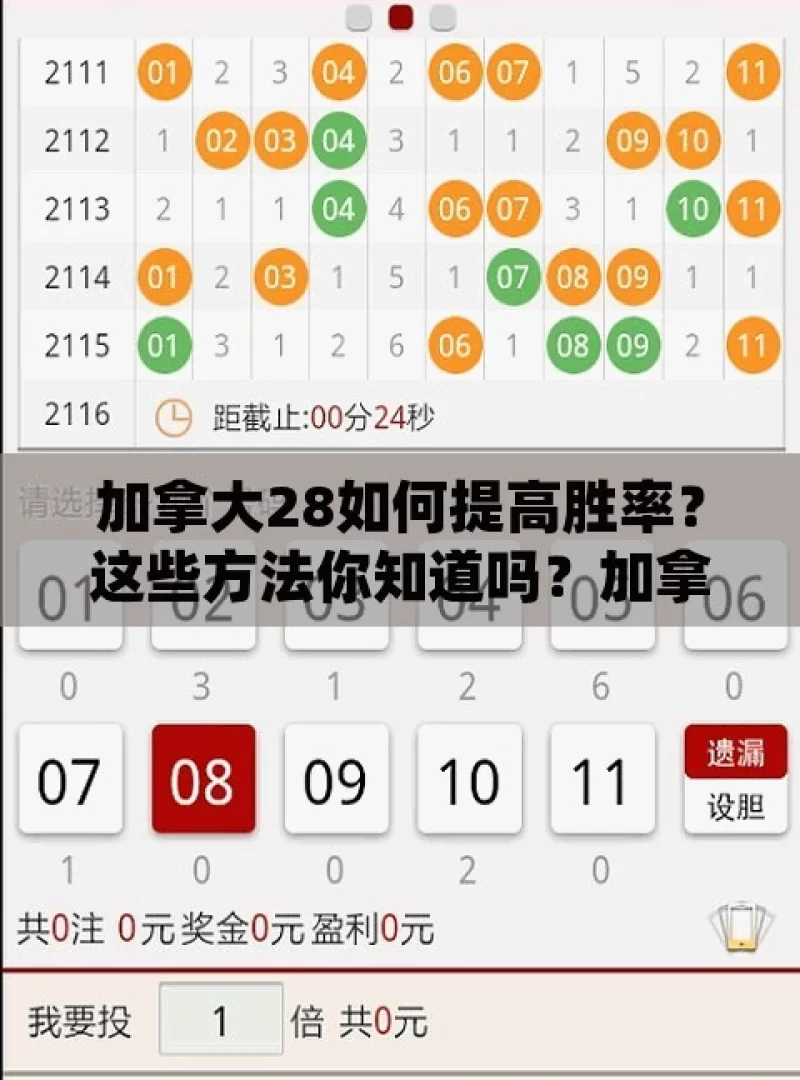 加拿大28如何提高胜率？这些方法你知道吗？加拿大28，你真的了解吗？如何提高胜率，让你赢得更多！