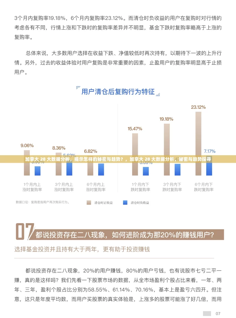 加拿大 28 大数据分析，揭示怎样的秘密与趋势？，加拿大 28 大数据分析，秘密与趋势探寻