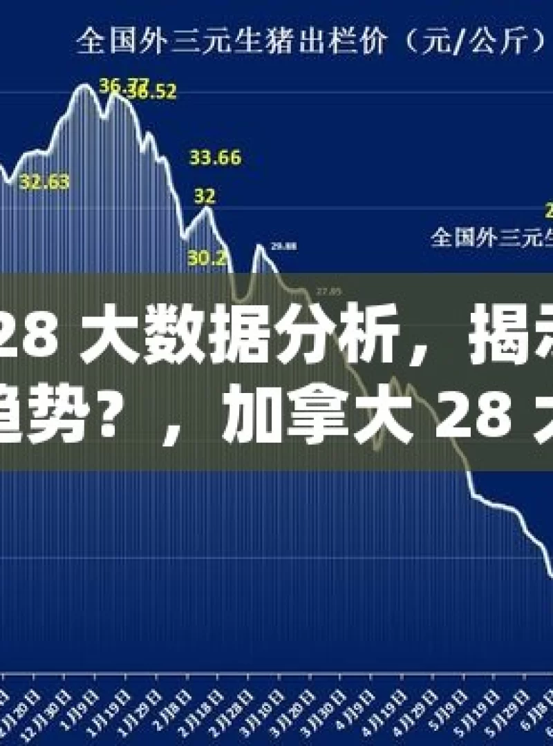 加拿大 28 大数据分析，揭示怎样的秘密与趋势？，加拿大 28 大数据分析，秘密与趋势探寻