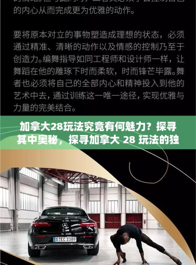 加拿大28玩法究竟有何魅力？探寻其中奥秘，探寻加拿大 28 玩法的独特魅力