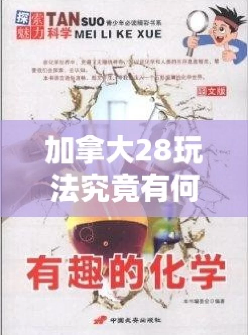 加拿大28玩法究竟有何魅力？探索其奥秘，加拿大28玩法的魅力究竟何在？深度探索