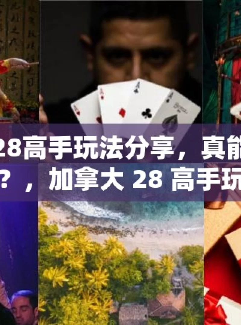 加拿大28高手玩法分享，真能开启财富之门？，加拿大 28 高手玩法探秘