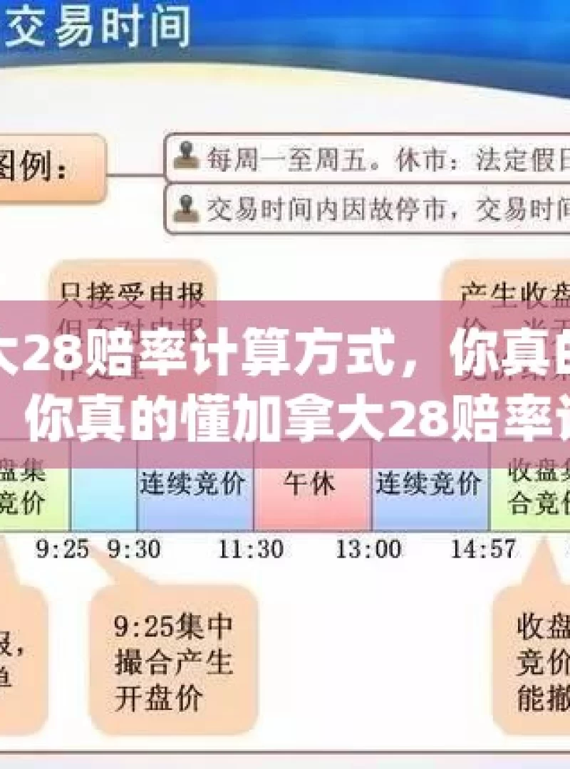 加拿大28赔率计算方式，你真的了解吗？，你真的懂加拿大28赔率计算吗