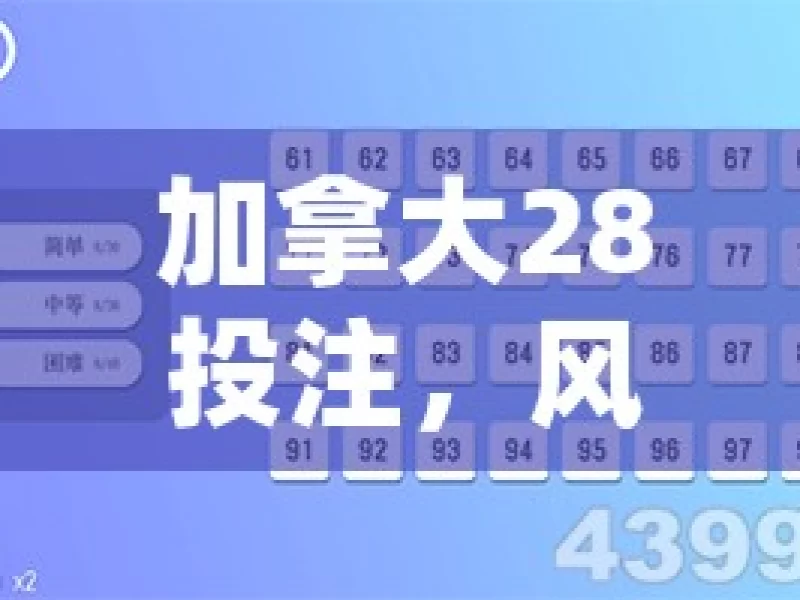 加拿大28投注，风险究竟有多大？，探究加拿大28投注风险