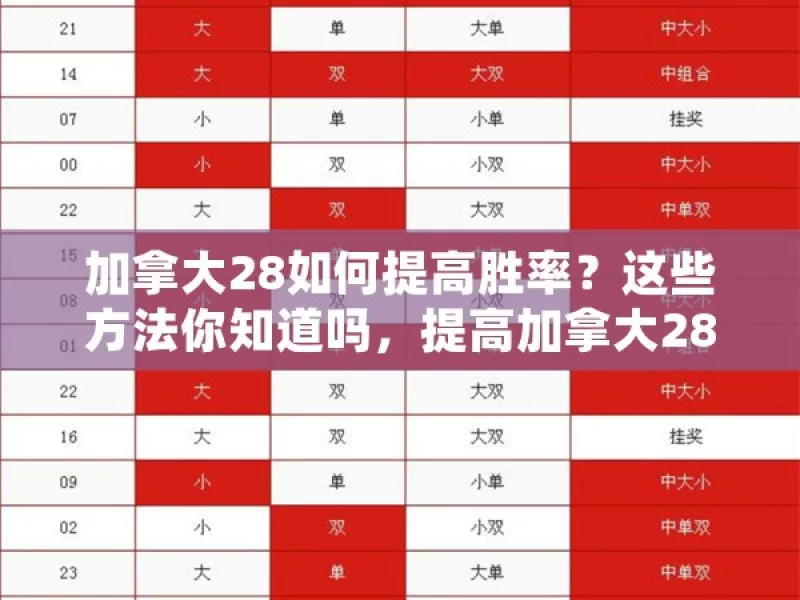 加拿大28如何提高胜率？这些方法你知道吗，提高加拿大28胜率之法