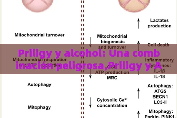 Priligy y alcohol: Una combinación peligrosa,Priligy y Alcohol: Una Combinación Peligrosa - Viagra y Priligy