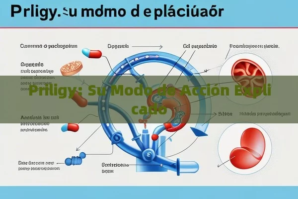 Priligy: Su Modo de Acción Explicado - Viagra y Priligy