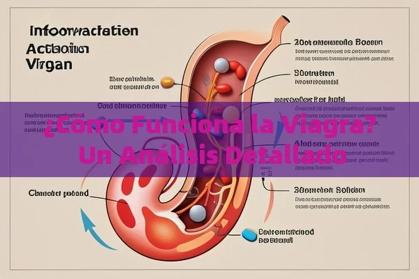 ¿Cómo Funciona la Viagra? Un Análisis Detallado