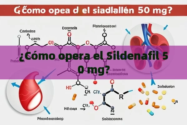 ¿Cómo opera el Sildenafil 50 mg? - Viagra y Priligy