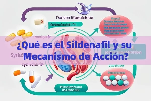 ¿Qué es el Sildenafil y su Mecanismo de Acción? - Viagra y Priligy