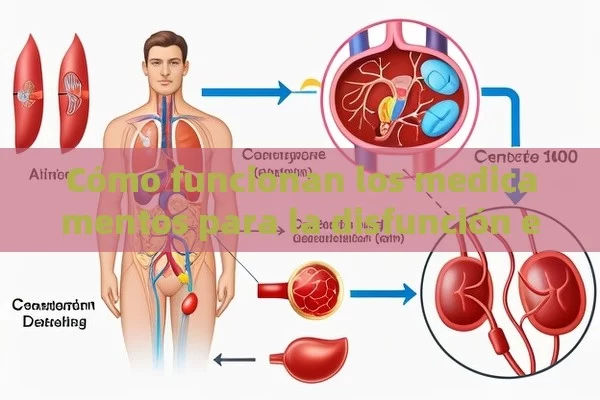 Cómo funcionan los medicamentos para la disfunción eréctil: Cialis 10mg y Cenforce 100mg