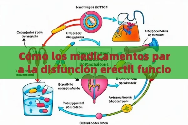 Cómo los medicamentos para la disfunción eréctil funcionan y sus beneficios