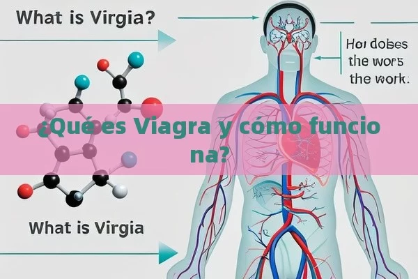 ¿Qué es Viagra y cómo funciona? - Viagra y Priligy