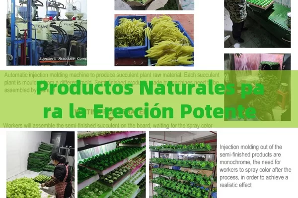 Productos Naturales para la Erección Potente - Viagra y Priligy