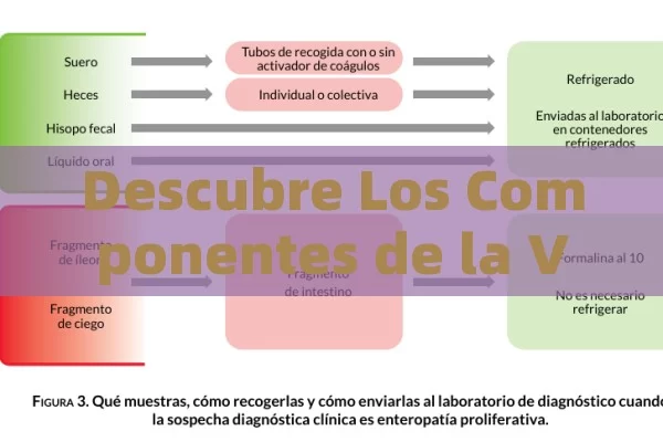 Priligy Precio en España: Todo lo que Debes Saber Antes de Comprar - Viagra y Priligy