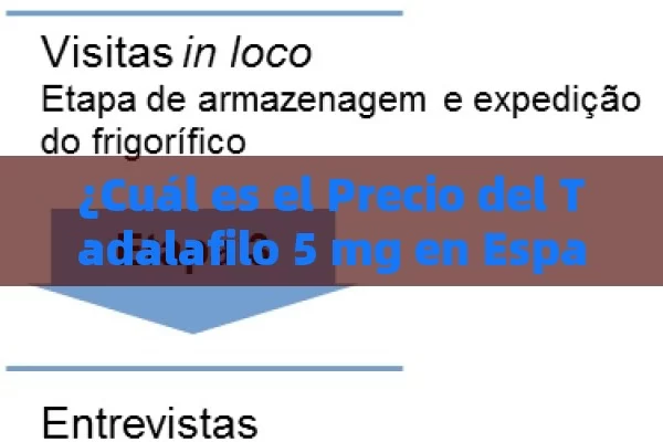 ¿Cuál es el Precio del Tadalafilo 5 mg en España? Guía Completa - Viagra y Priligy